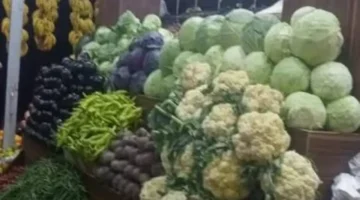 تحديثات الأسعار.. قائمة تكلفة الخضراوات والفاكهة في أسواق قنا بمنتصف الأسبوع